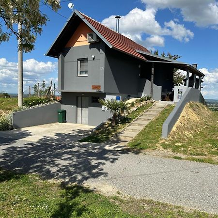 Kuca Za Odmor Mare Villa Sveti Martin Na Muri Exterior foto