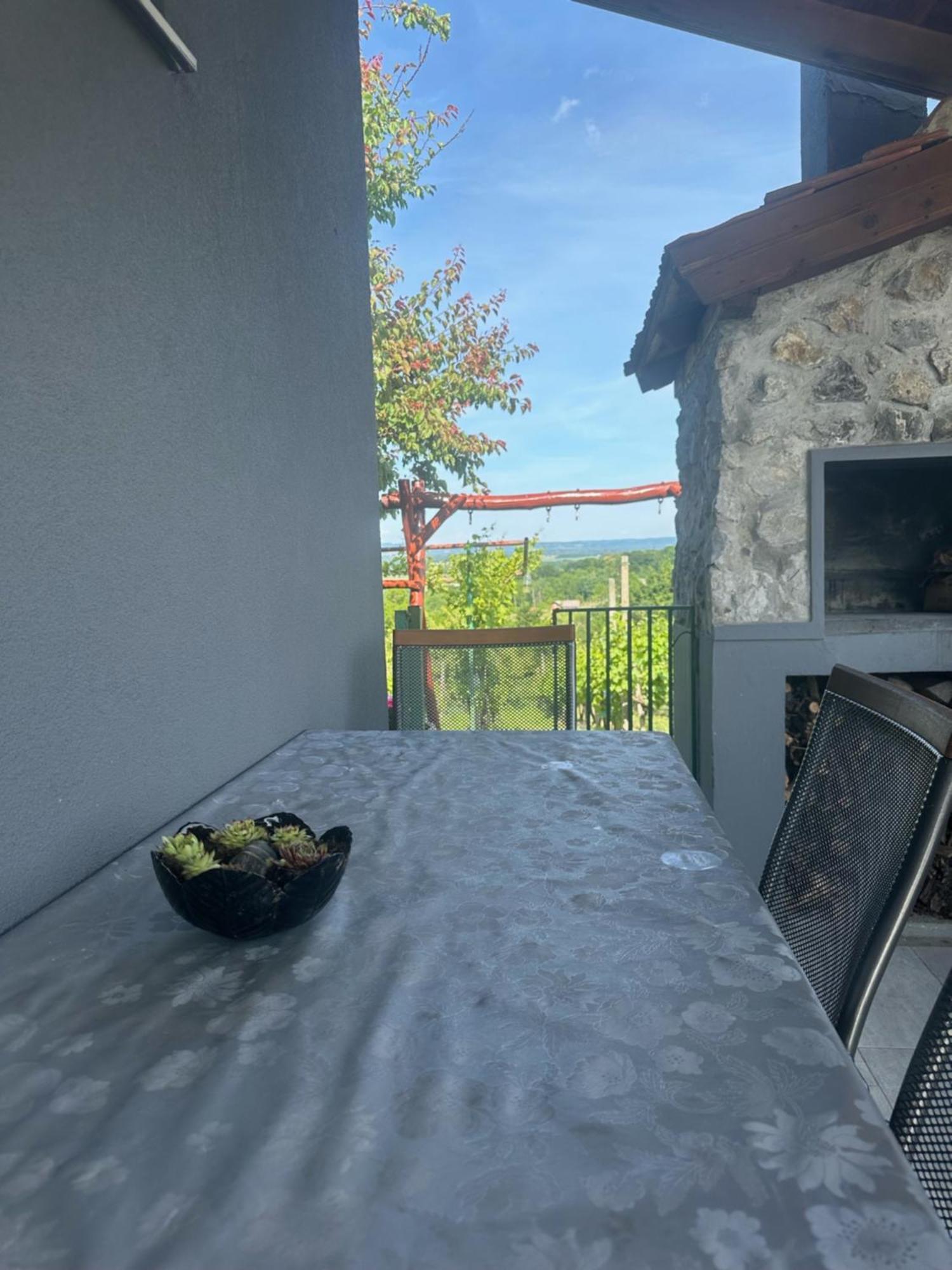 Kuca Za Odmor Mare Villa Sveti Martin Na Muri Exterior foto