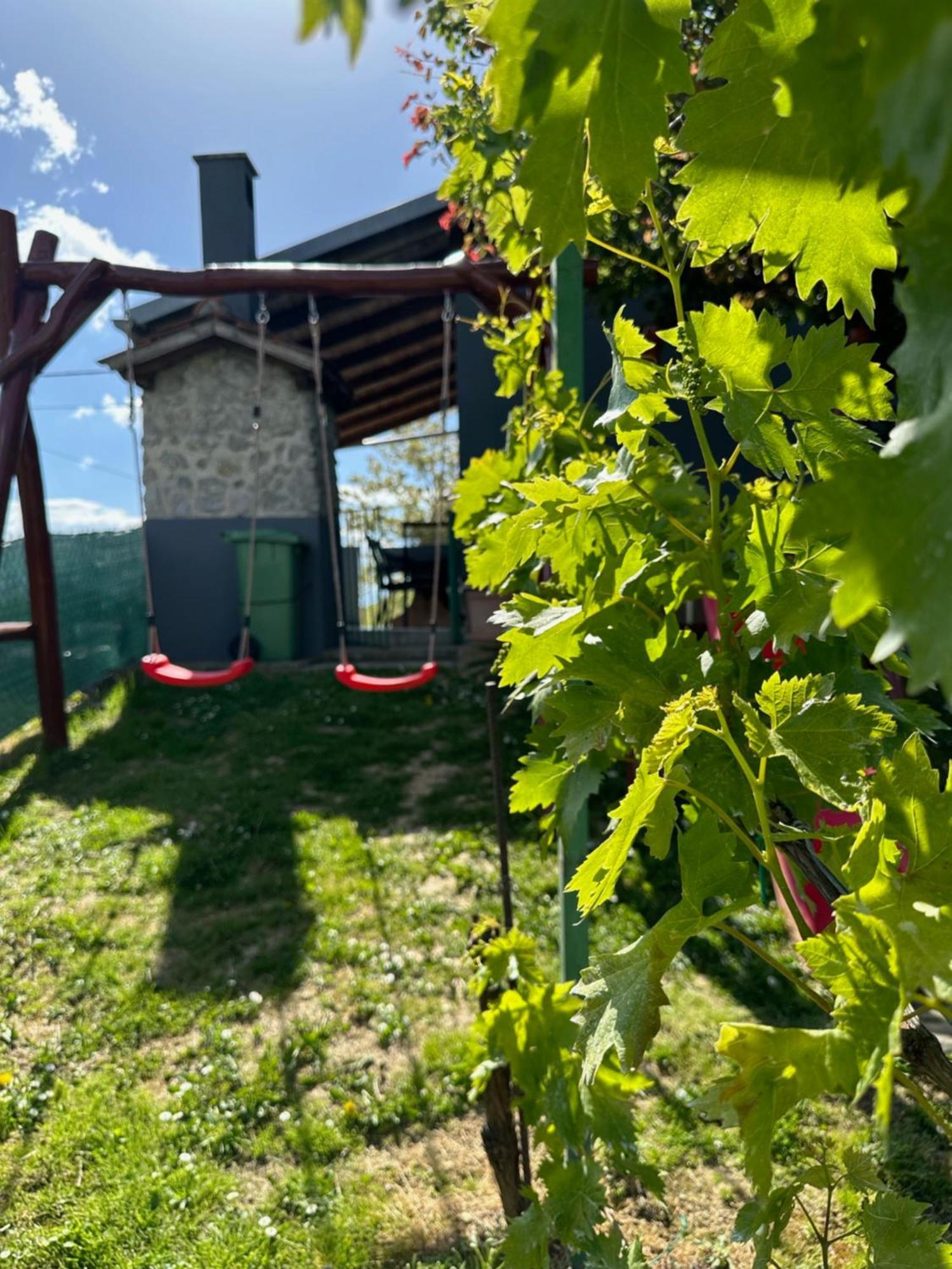 Kuca Za Odmor Mare Villa Sveti Martin Na Muri Exterior foto