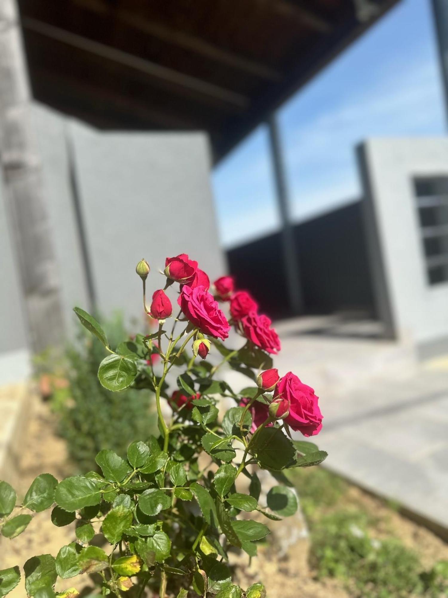 Kuca Za Odmor Mare Villa Sveti Martin Na Muri Exterior foto
